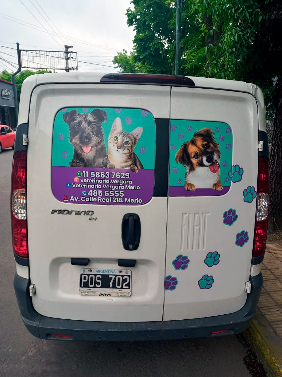 Gráfica — Cartelar, foto 4